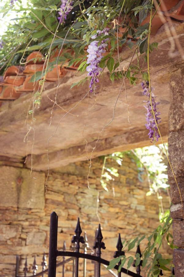 Pazo De Andeade ξενώνας Εξωτερικό φωτογραφία