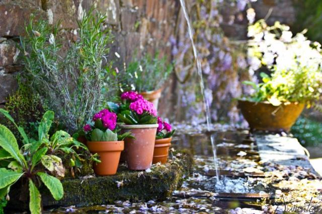 Pazo De Andeade ξενώνας Εξωτερικό φωτογραφία